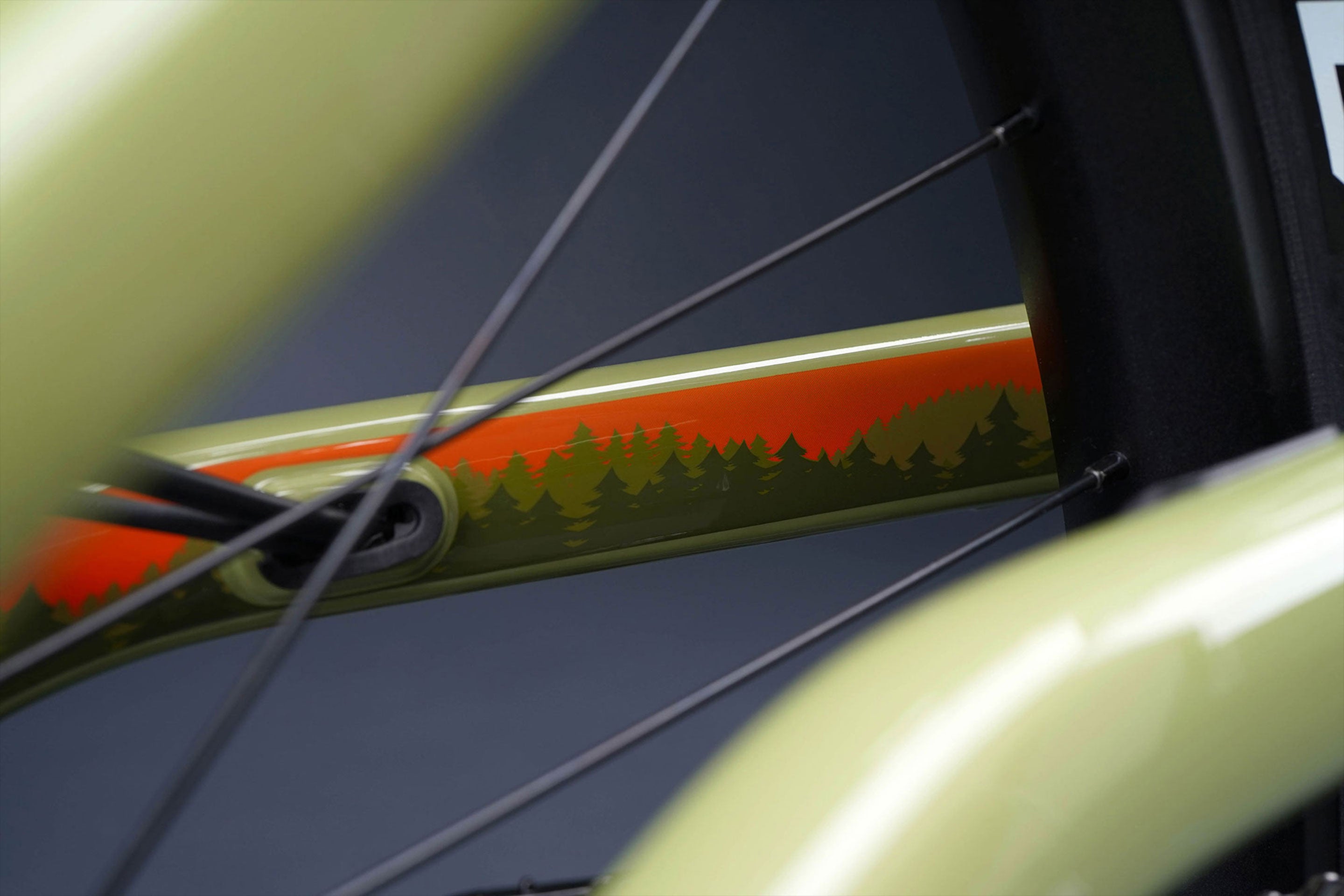 SWITCH/MTN lifestyle detail 2